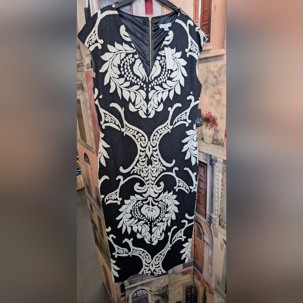 New York & Company Black and Cream Midi Dress